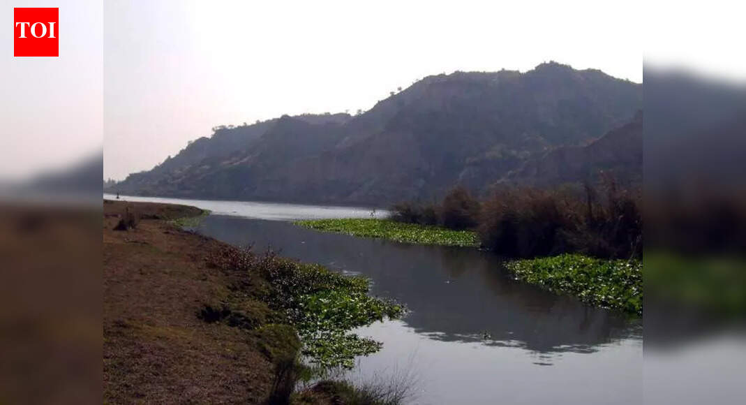 Water body pollution: NGT asks Punjab to file district-wise data