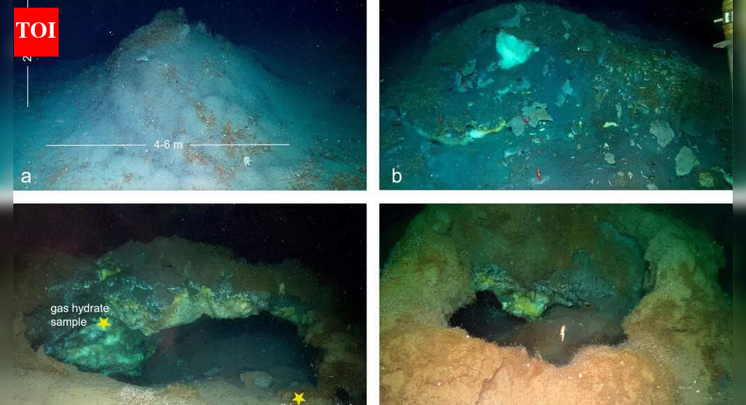 A hidden Arctic world: Methane mounds and life found 3.6 km below the Greenland Sea