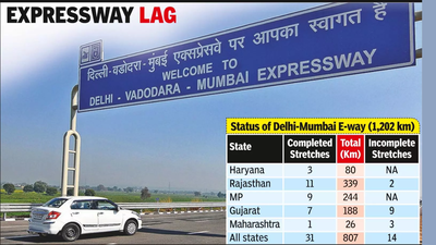 Pune company's Delhi-Mumbai express-way contract may be axed over delays