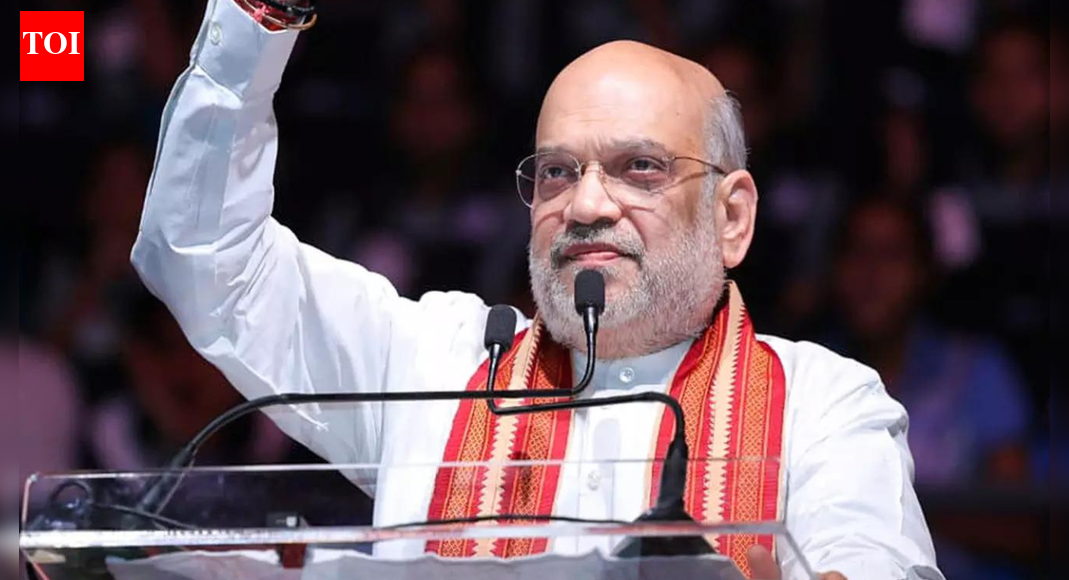'Country is safe': Modi govt brought peace to J&K, NE, Naxal-hit areas - Amit Shah