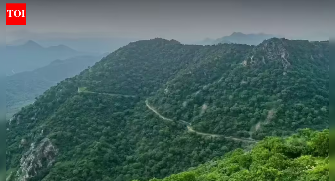 Will increase mining-free zones in Aravalis: Centre