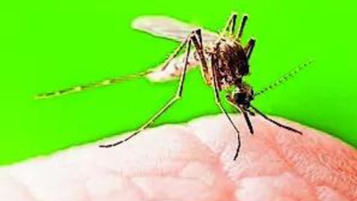 'Result of institutional strength': India logs steep decline in TB, malaria and maternal deaths; Nadda hails people’s participation