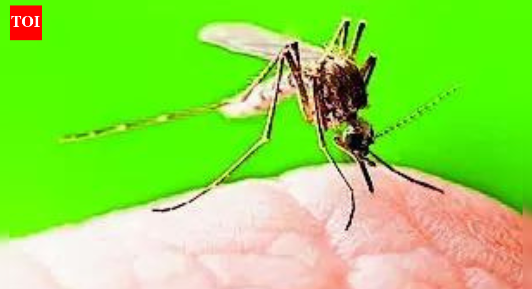 India logs steep decline in TB, malaria and maternal deaths