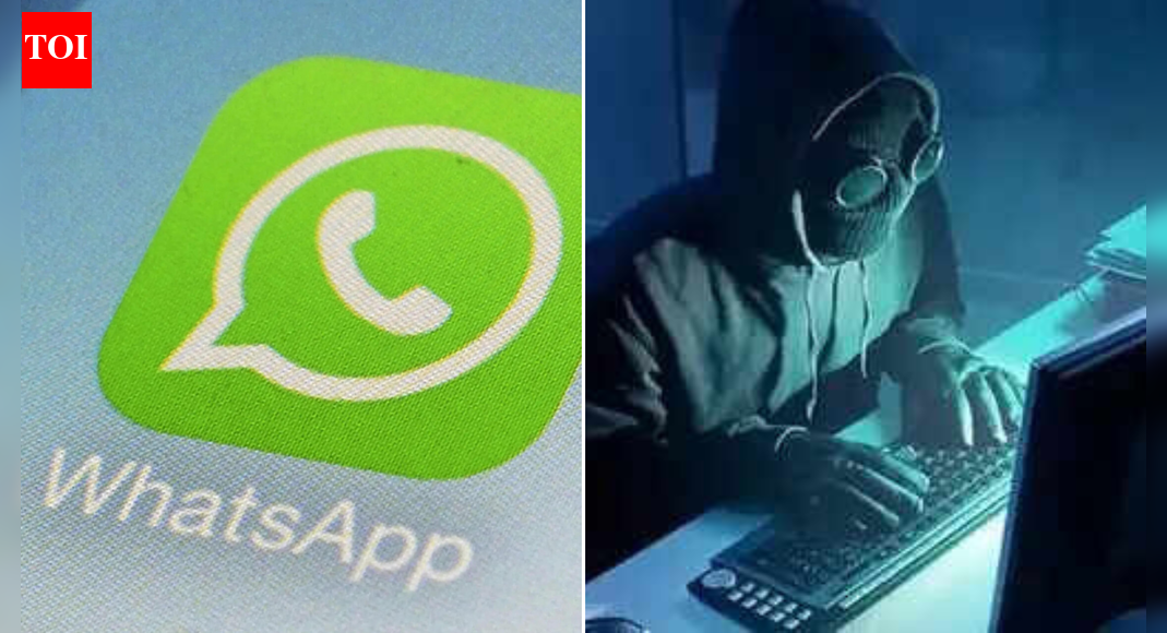 WhatsApp scams: 1 crore Indian accounts banned per month; government flags cyberfraud concerns
