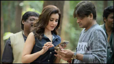 Thankful for the journey, the people, and the lessons this year gave me, says Raashi Khanna