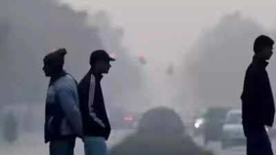 'In a matter of hours': GRAP 4 lifted, no bar on non-Delhi BS-4 petrol cars as AQI 'improves'; relief not here to stay