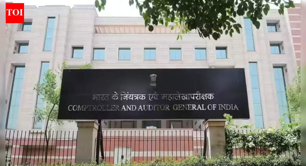 UP’s rural electrification marred by poor planning, financial mismanagement: CAG