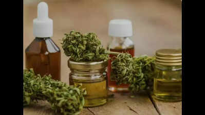 NCB busts international hashish oil trafficking network; 5 arrested with 4 kg contraband in Visakhapatnam