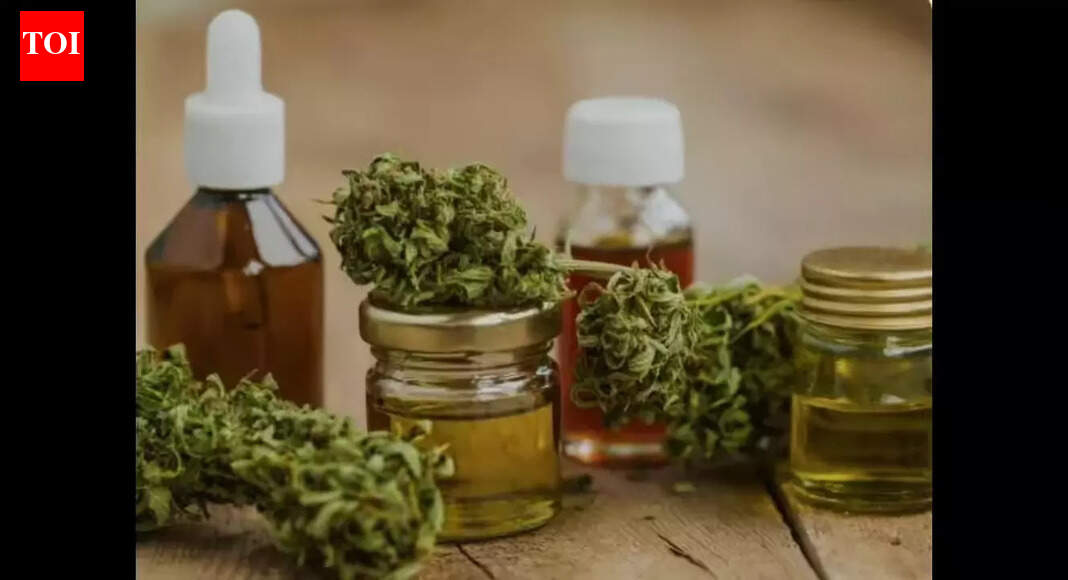 NCB busts international hashish oil trafficking network; 5 arrested with 4 kg contraband in Visakhapatnam