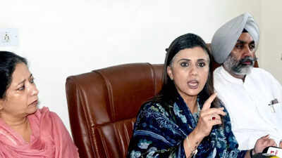 Colonel Pushpinder Bath assault case: CBI drops attempt-to-murder charge; files chargesheet against 4 Punjab cops