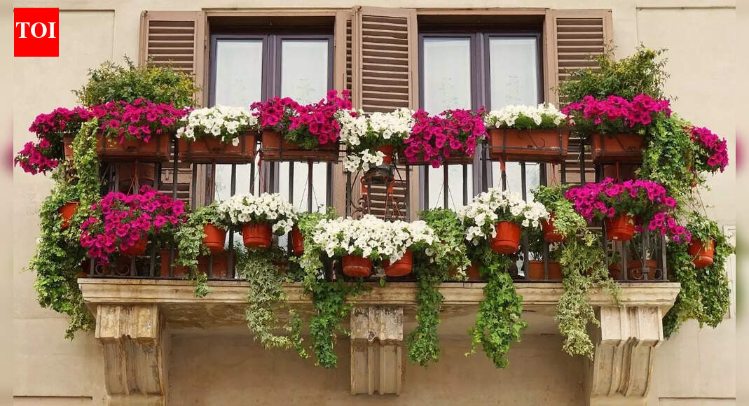 8 plants that attract birds in your balcony