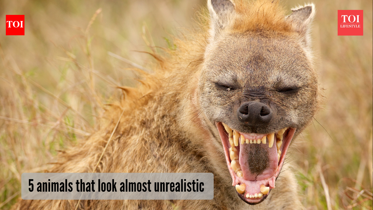 5 most unreal animals on the planet