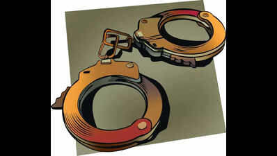Two men arrested for sexually assaulting minor girl in northwest Delhi