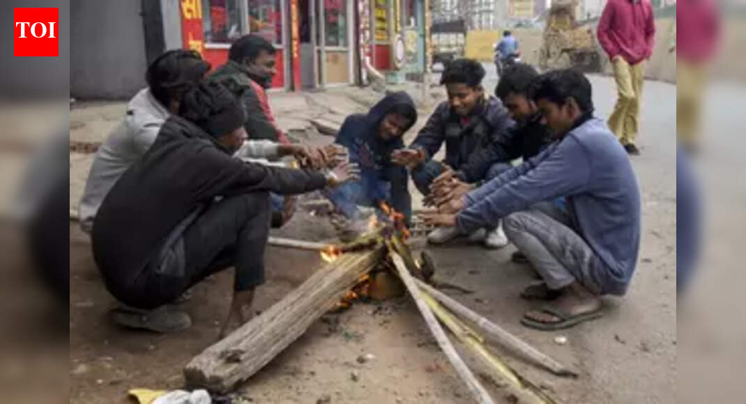 IMD: Cold day conditions to persist in state till December 28