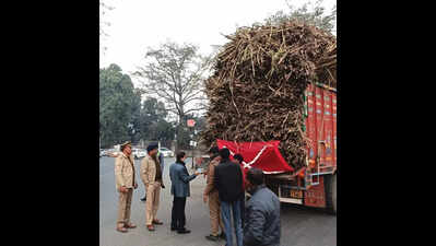 UP tightens cane transport norms to protect farmers, reduce fog accidents