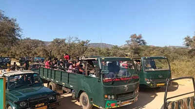 Sariska sees throng of year-end tourists