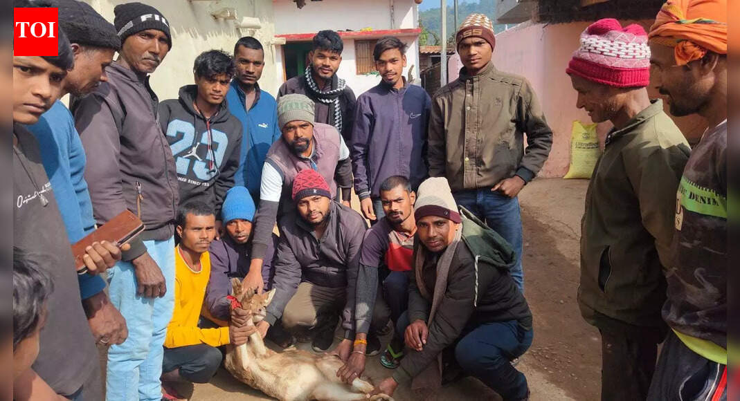Deer Rescued and Released Back to Forest in Chatra After Village Stray