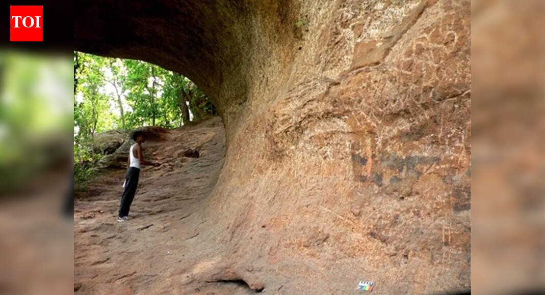 ASI to start Sambalpur, Angul rock art investigation from Dec 27