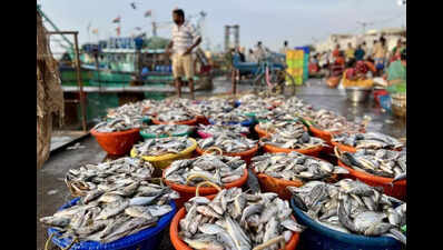 Bounty of skipjack tuna at Kasimedu, but fishers gutted on price by middlemen