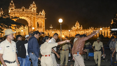 Karnataka: Balloon cylinder blast near Mysuru Palace kills 1; 4 injured