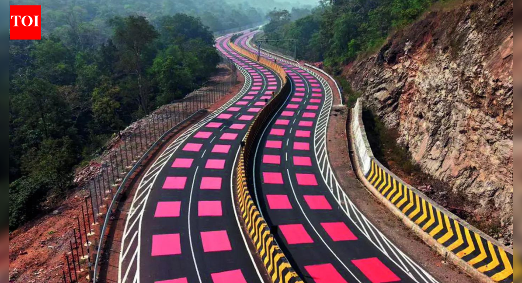 In MP, a highway learns to slow down for tigers