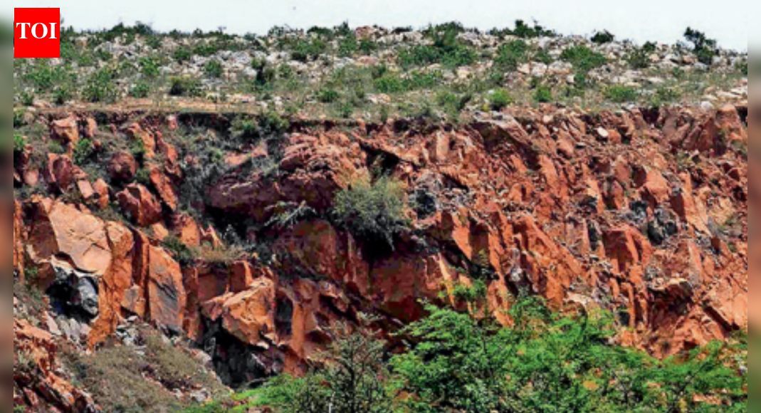 MoEF told Survey of India to map Aravali hills by 100m rule
