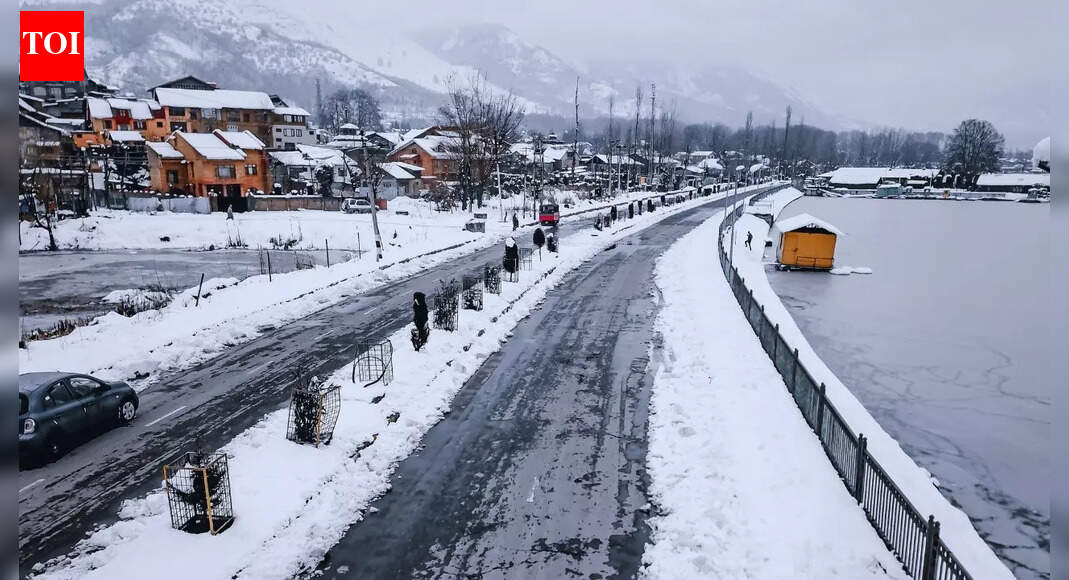 IMD weather update: Holiday travel faces weather hurdles as cold wave and fog blanket multiple states