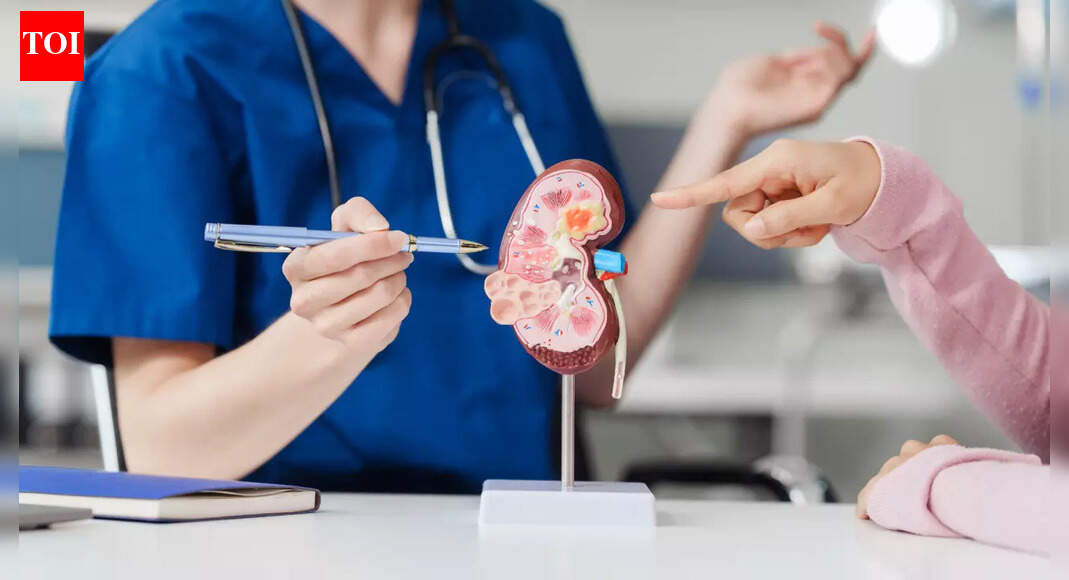 Kidney health: 5 everyday habits that can damage kidneys in women after 40, according to a US-based physician