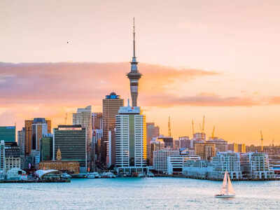 Why New Zealand is a smart choice for students in 2026: Expert explains tuition, city-wise costs, and work opportunities