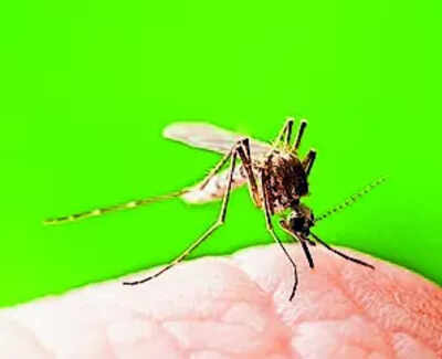 Malaria now limited to pockets in Mizoram, Tripura as India nears elimination