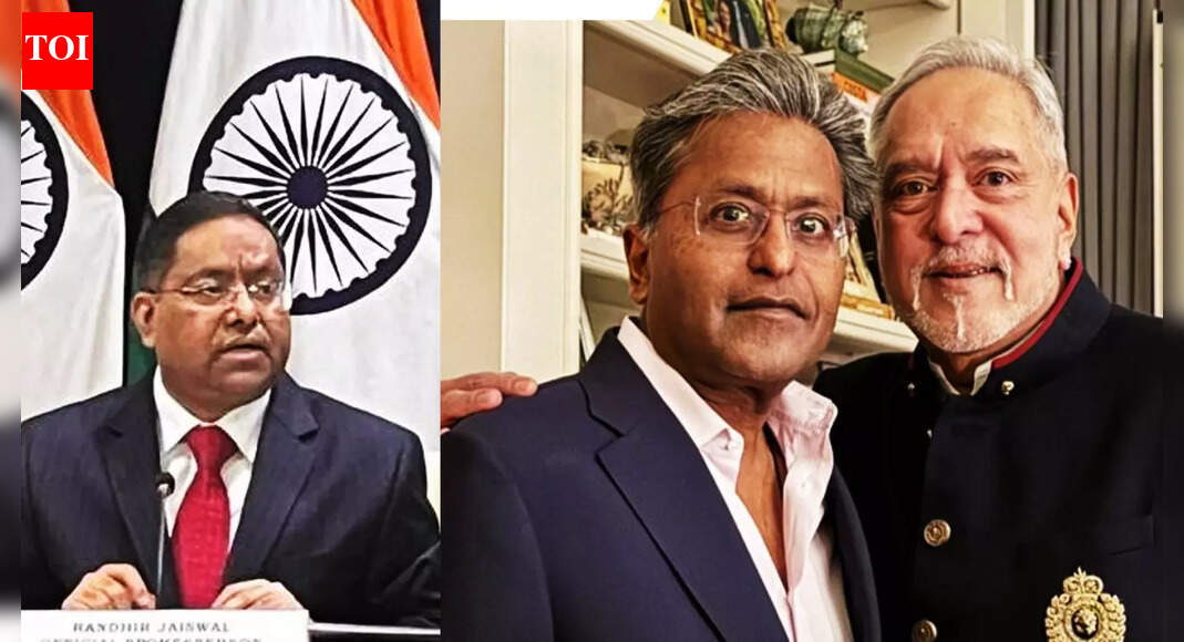 "People Who Are..." MEA Responds To Viral Mallya And Modi “Biggest Fugitive” Video
