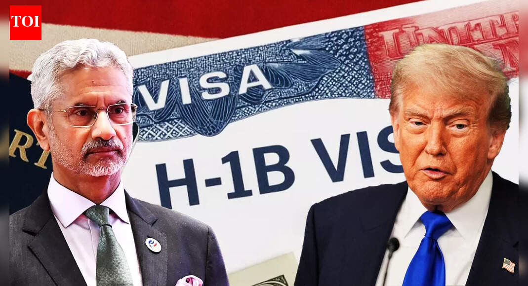 H-1B Visa Delays: MEA Says India Has Flagged Issue With US
