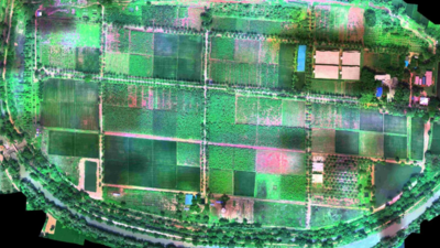 Trichy research centre plans to monitor banana cultivation using Isro sat mapping to avert supply glut