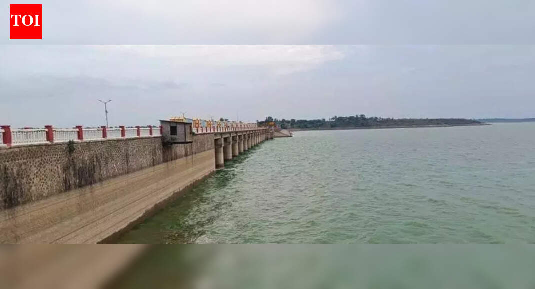Bids invited for Nar-Par Girna linking project’s first phase | Nashik ...