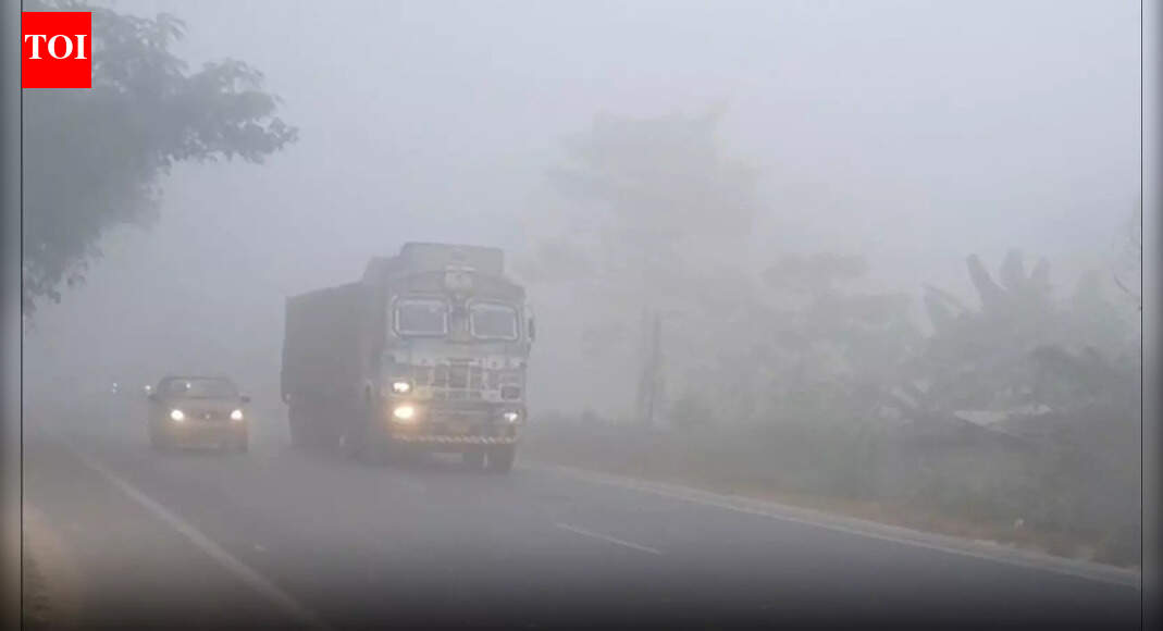 State shivers as relentless cold and dense fog exacerbate chill