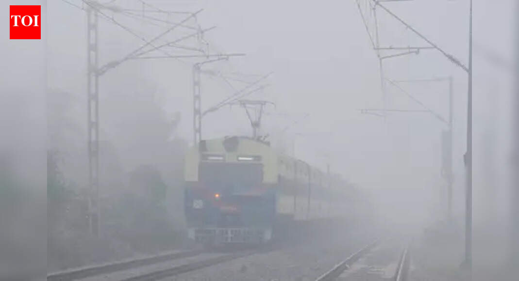 Two die after being hit by trains in Jamui