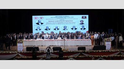 Mediation gives women a voice in justice system: Norma Alvares