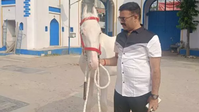 Got any whiff of my child? After Muharram’s Duldul horse stolen, Lucknow man offers Rs 50k reward; bought for Rs 4 lakh