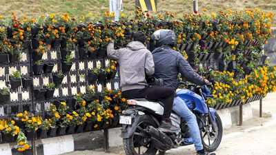 Watch: 7k flower pots looted after PM Modi opens Rashtra Prerna Sthal in UP; 30 security personnel deployed