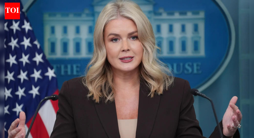 'Excited to be girl mom': Trump's press secretary Karoline Leavitt announces second pregnancy; calls it 'greatest Christmas gift'