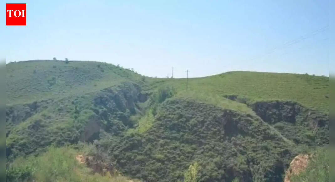 Did this newly discovered straight road hold the Qin Empire together