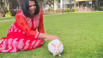 How a Bengaluru apartment found harmony with community cats