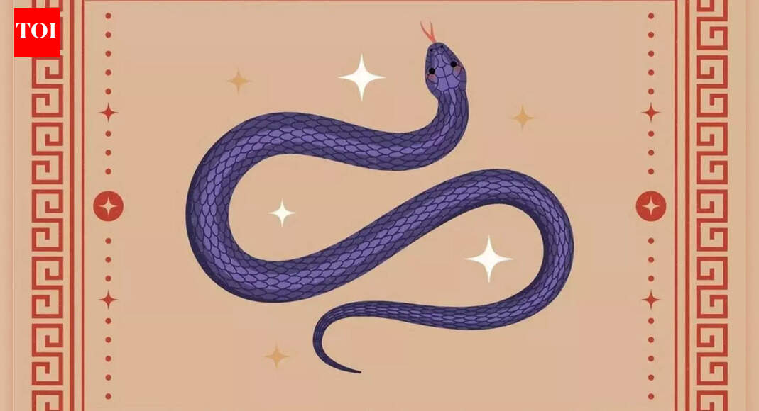 Chinese Snake Zodiac 2026 Horoscope: A Sudden Shift Could Force You to Rethink Everything