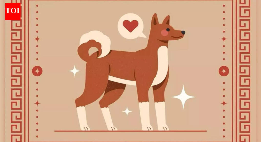 Chinese Dog Zodiac 2026 Horoscope: Jupiter Brings Healing, But Only If You Survive the First Half Storm