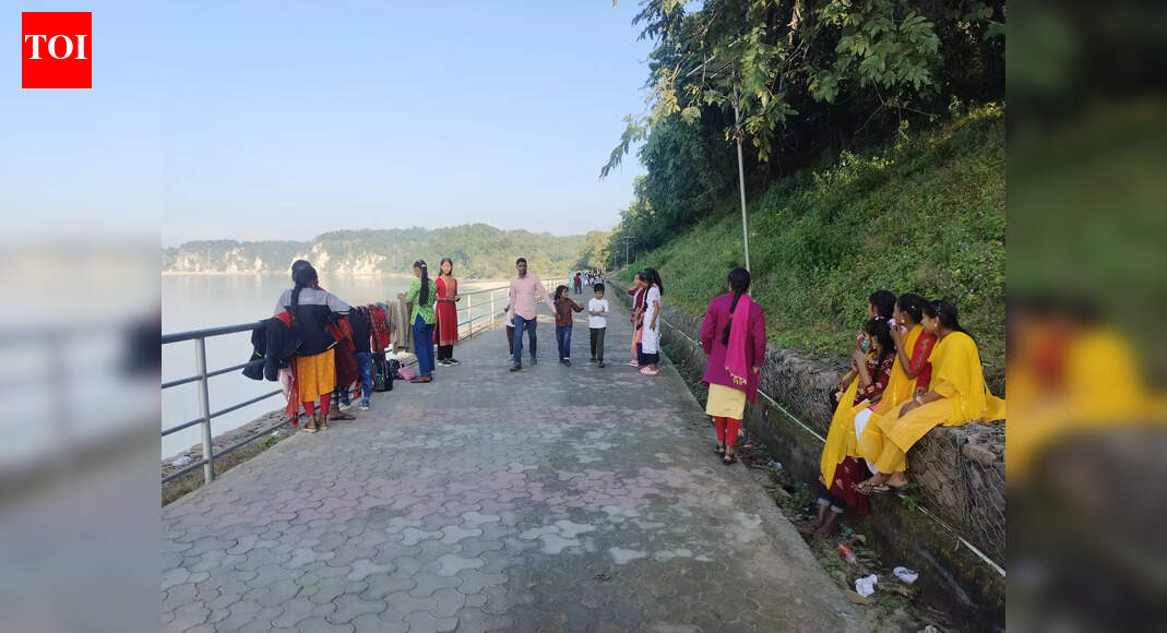 Strict rules for New Year at Valmiki Tiger Reserve | Patna News  timesofindia.indiatimes.com