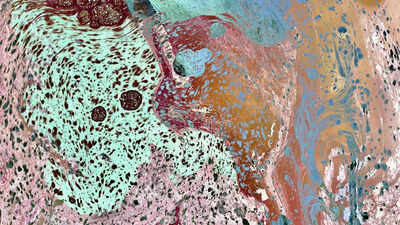 Salt Lines: A forgotten 4,000-km 'living border' reappears in a Mumbai museum