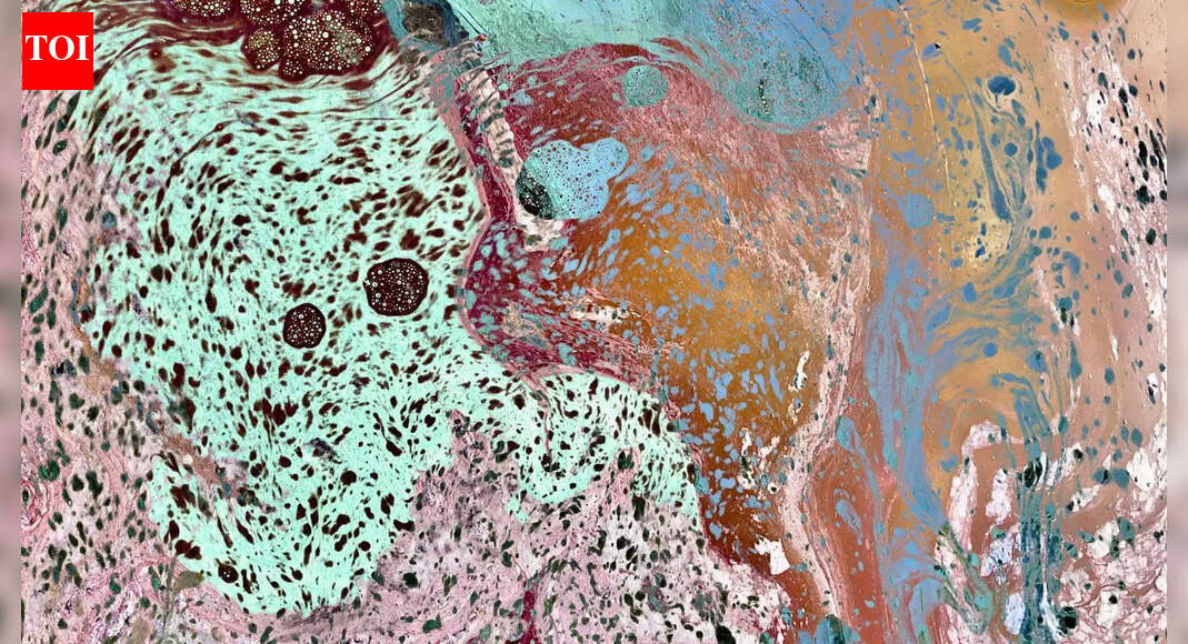 Salt Lines: A forgotten 4,000-km 'living border' reappears in a Mumbai museum