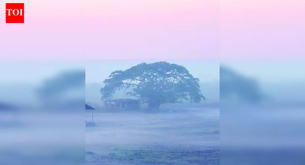 Winter chill eases as temp rises slightly