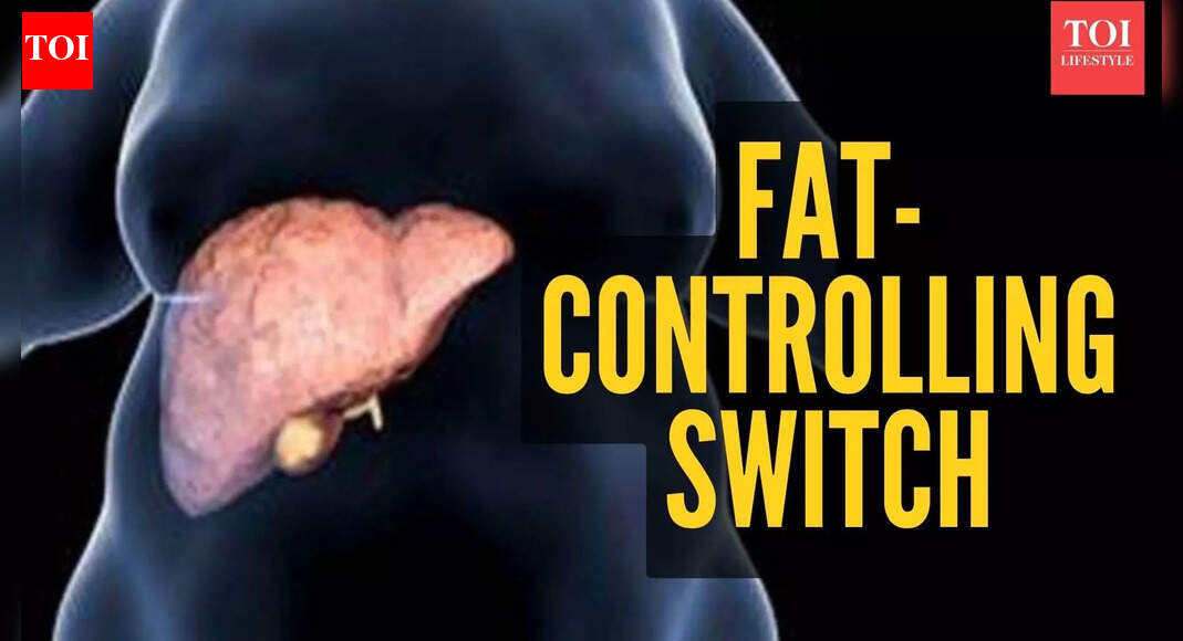 New study discovers ‘fat switch’ in body that can turn off weight gain, cholesterol, liver issues