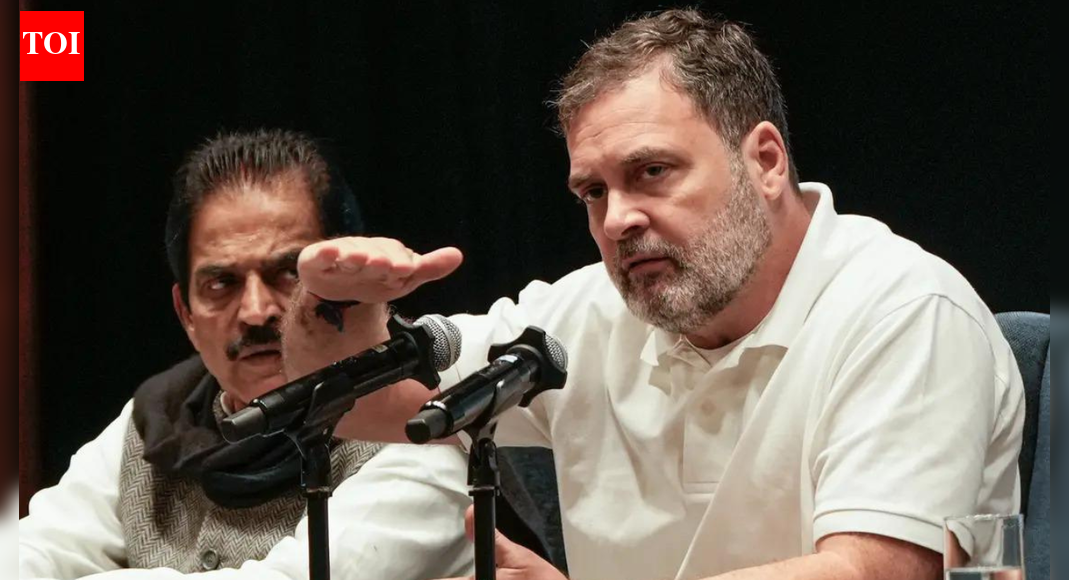 Rahul permanent spokesperson of anti-India global forces: BJP